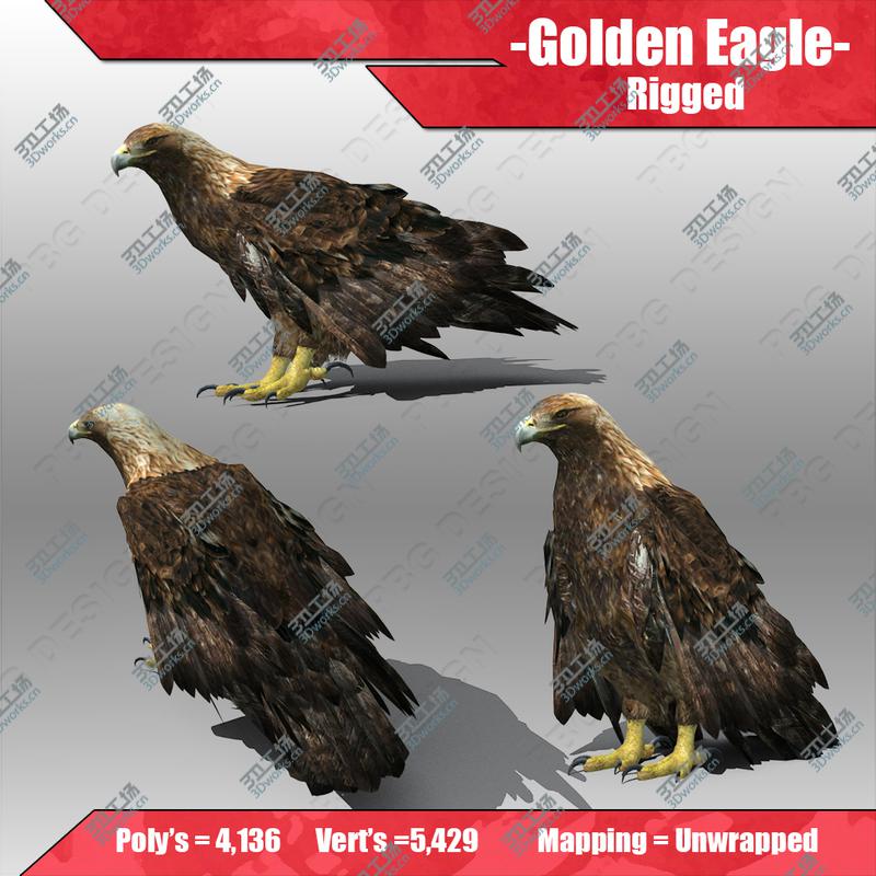 images/goods_img/202105073/Golden Eagle/2.jpg